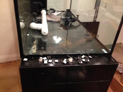 IMG_1062 (800x600).jpg