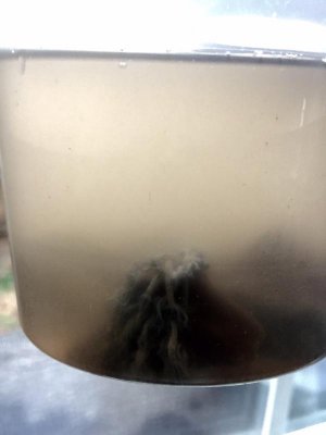 FullSizeRender (1).jpg