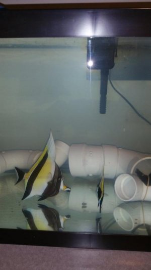 20151109_112147.jpg