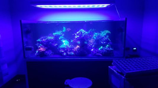 20151230_181900.jpg