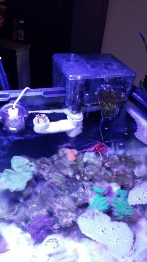 20151205_212624.jpg