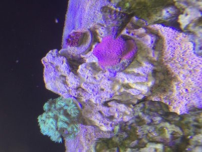 IMG_3387.jpg