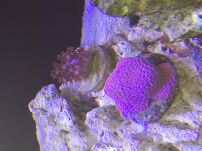 IMG_3386.jpg