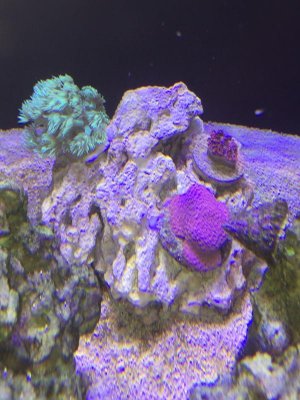 IMG_3387.jpg