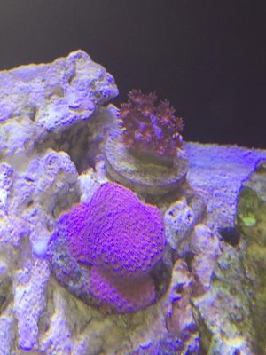 IMG_3386.jpg