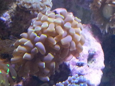 20151229_083630[1].jpg
