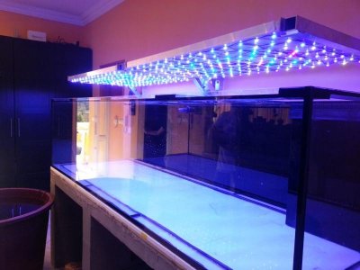 20150306_132645.jpg