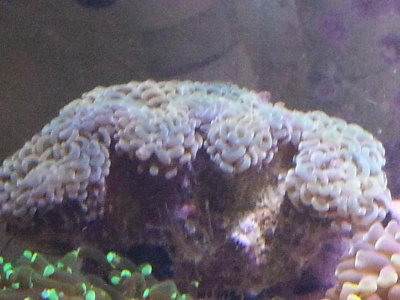 20151229_083625[1].jpg