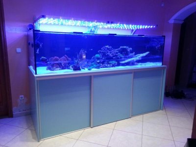 20150307_194407.jpg
