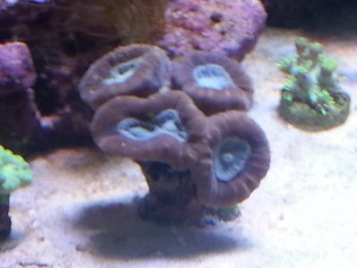 20151229_083622[1].jpg
