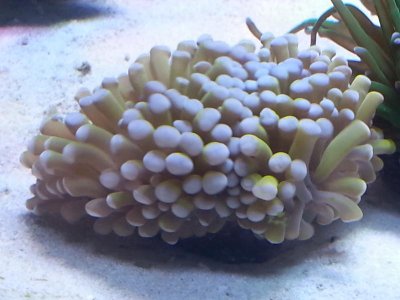 20151229_083538[1].jpg