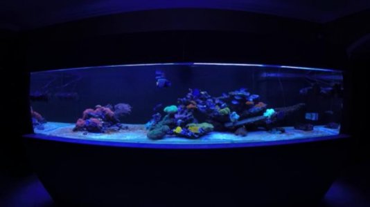 IMG_0964.jpg