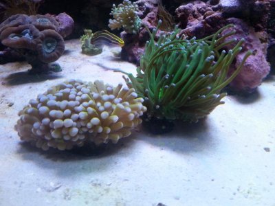 20151229_083532[1].jpg