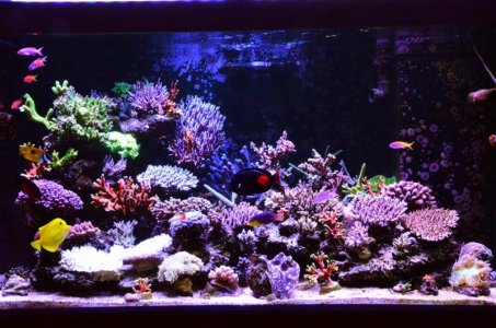 DSC_5190 (Medium).jpg