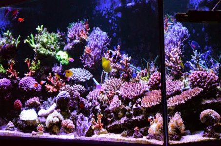 DSC_5192 (Medium).jpg