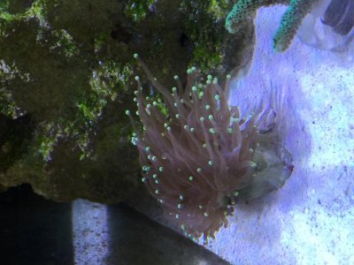 IMG_8144.jpg