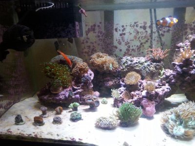 Full Tank Left Side.jpg