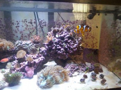 Full Tank Right Side.jpg