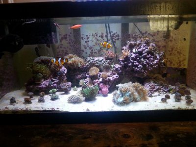 Full Tank Shot 1.jpg