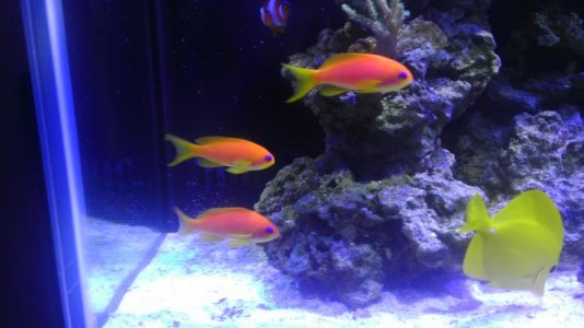 2013-04-04 19.49.12.jpg