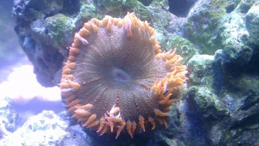 2015-12-07 15.07.55.jpg