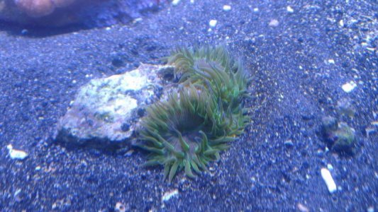 2015-12-07 16.12.04.jpg