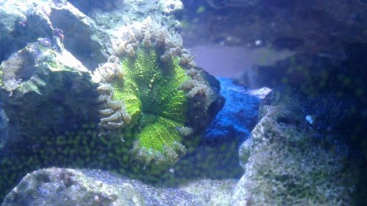 2015-12-07 16.11.52.jpg