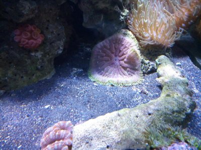 2015-11-08 13.52.41.jpg