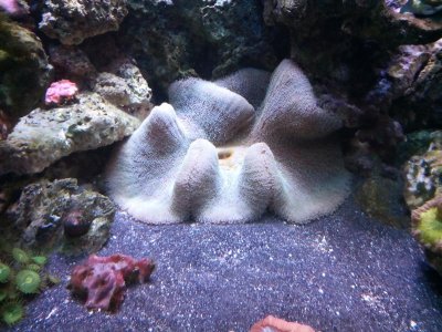 2016-01-01 10.54.13.jpg