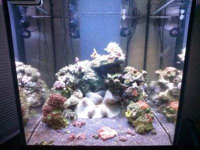 2016-01-01 10.54.23.jpg