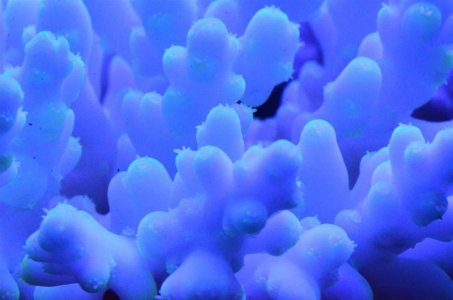 DSC_5135 (Medium).jpg