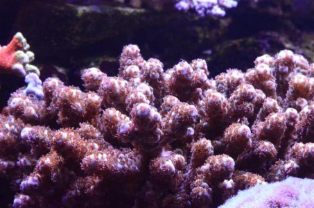 DSC_5061 (Medium).jpg