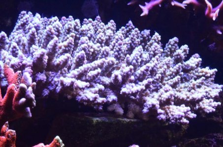 DSC_5064 (Medium).jpg