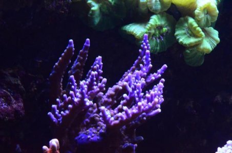 DSC_5068 (Medium).jpg