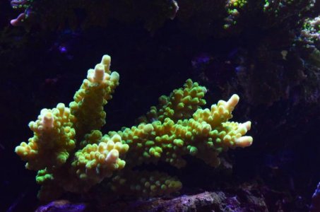 DSC_5070 (Medium).jpg