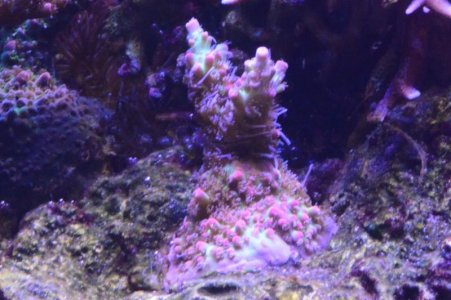 DSC_5073 (Medium).jpg