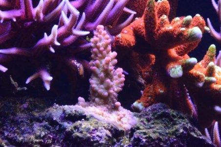 DSC_5075 (Medium).jpg