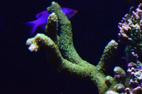 DSC_5078 (Medium).jpg