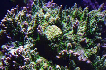 DSC_5079 (Medium).jpg