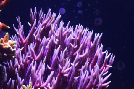 DSC_5082 (Medium).jpg