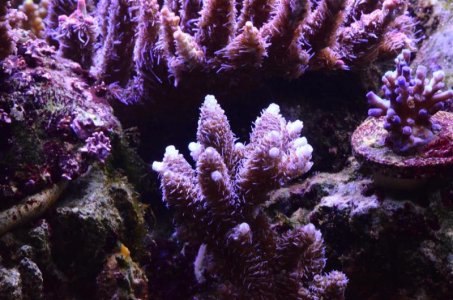 DSC_5086 (Medium).jpg