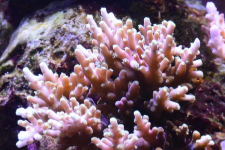 DSC_5095 (Medium).jpg