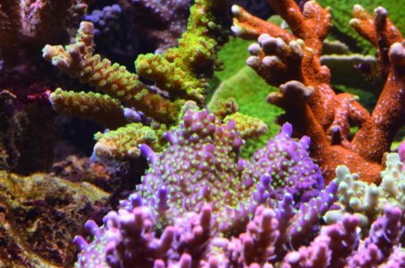 DSC_5111 (Medium).jpg