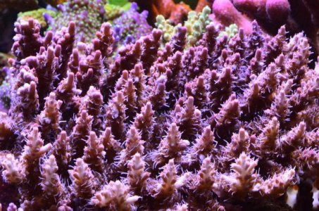 DSC_5113 (Medium).jpg