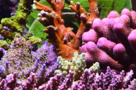 DSC_5115 (Medium).jpg