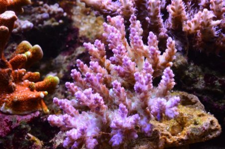 DSC_5119 (Medium).jpg