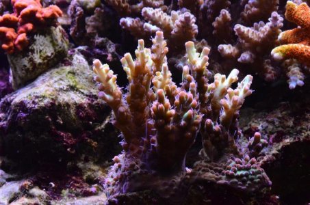 DSC_5122 (Medium).jpg