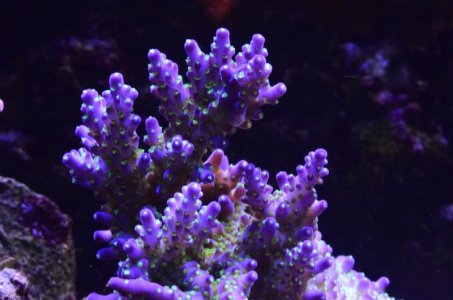 DSC_5041 (Medium).jpg