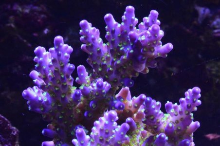 DSC_5044 (Medium).jpg