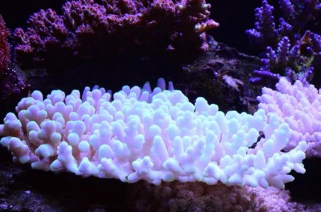 DSC_5050 (Medium).jpg